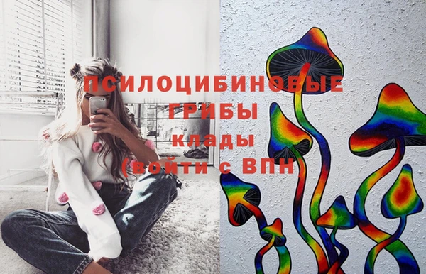 соль ск Аркадак