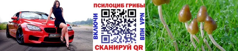 Псилоцибиновые грибы прущие грибы  Харовск 